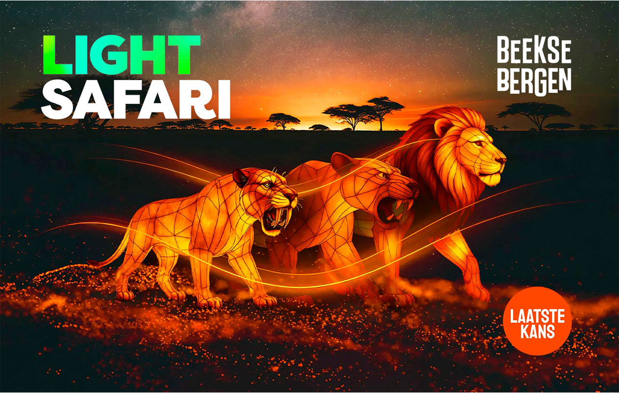 Billet Safari Lumière Beekse Bergen (2p.)