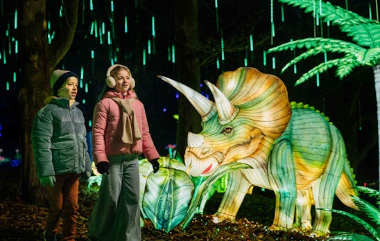 Ticket Light Safari Beekse Bergen (2p.)