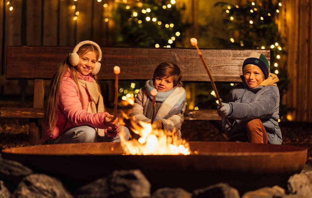 Ticket Light Safari Beekse Bergen (2p.)