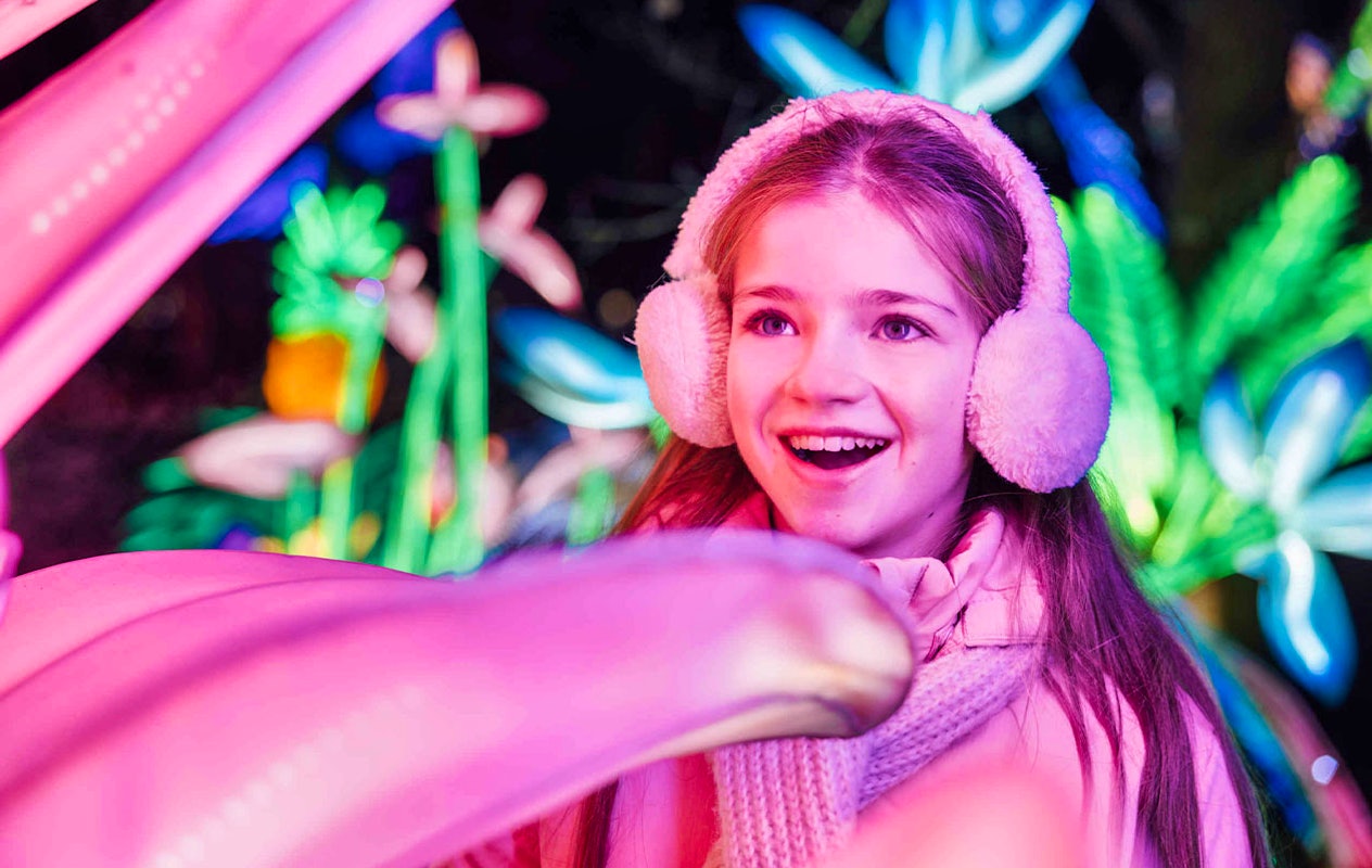 Ticket Light Safari Beekse Bergen (2p.)