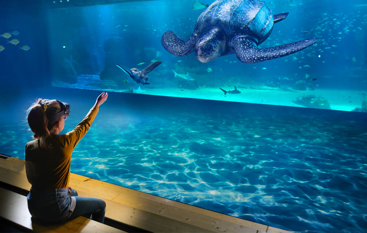 Ticket Nausicaá + Audiogids in Frankrijk (2p.)