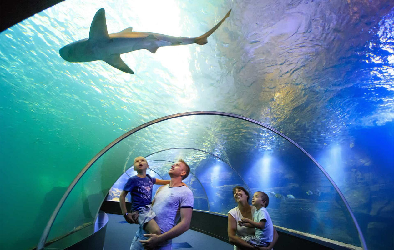 Ticket Nausicaá + Audiogids in Frankrijk (2p.)