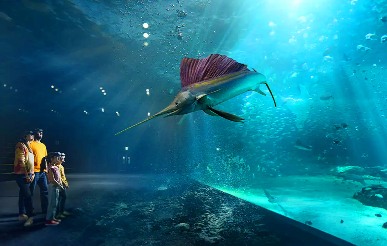 Ticket Nausicaá + Audiogids in Frankrijk (2p.)