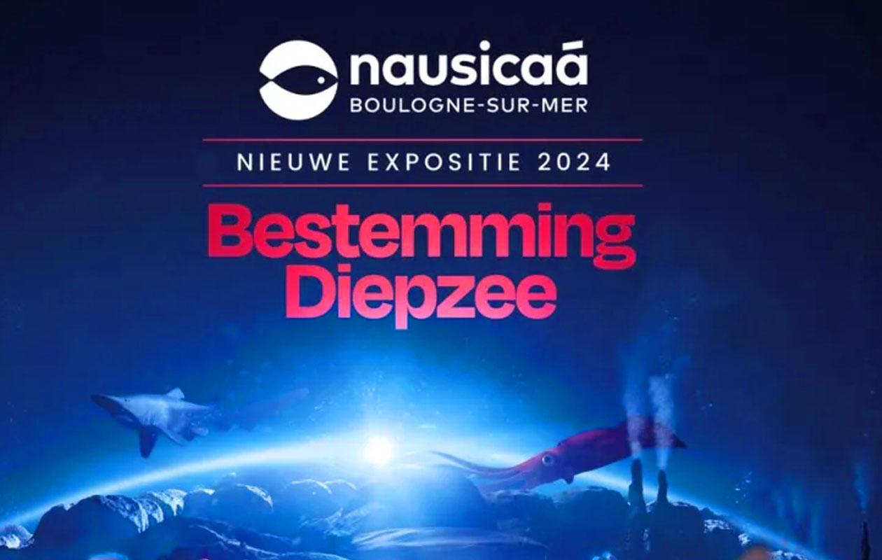 Ticket Nausicaá + Audiogids in Frankrijk (2p.)