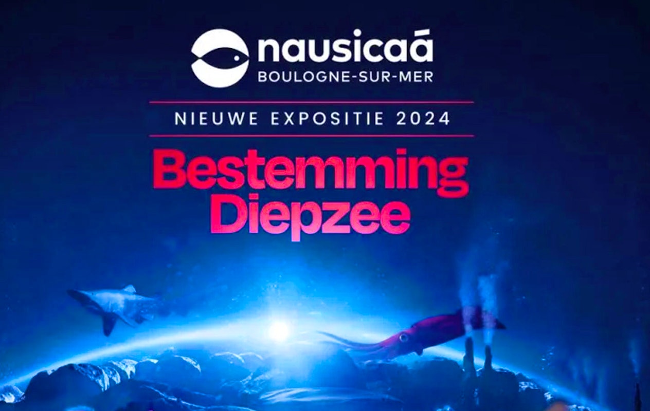 Billet Nausicaá + Audioguide en France (2p.)