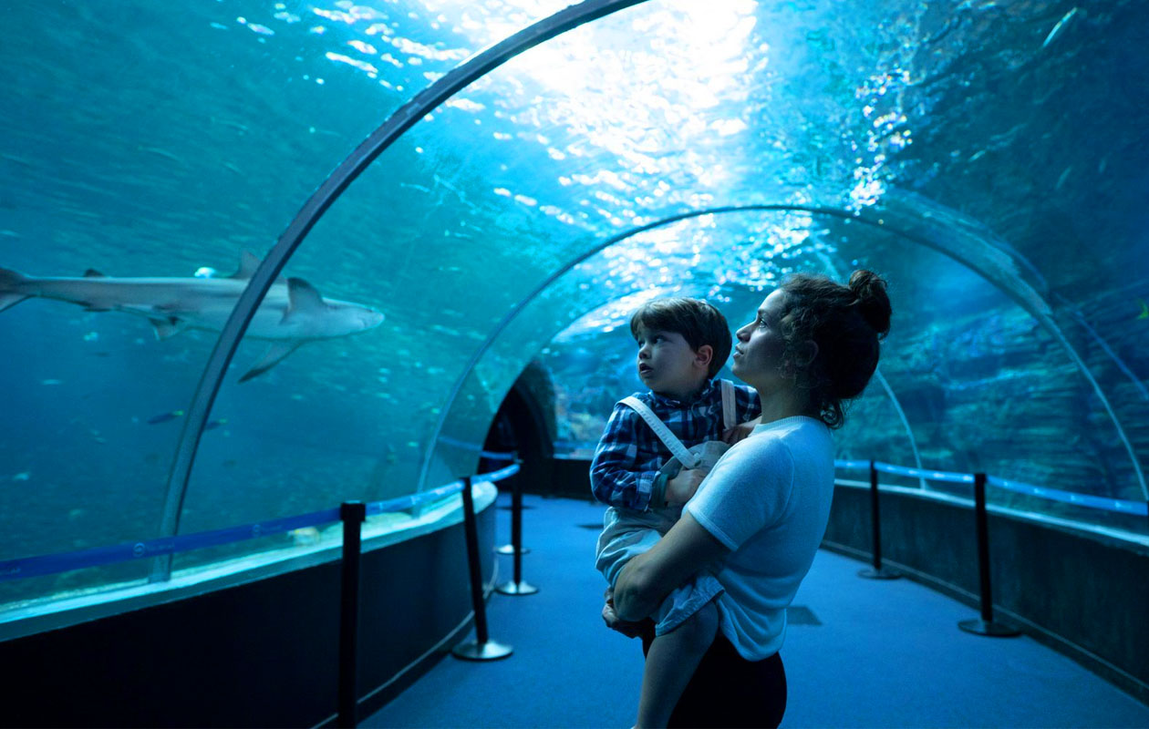 Ticket Nausicaá + Audiogids in Frankrijk (2p.)