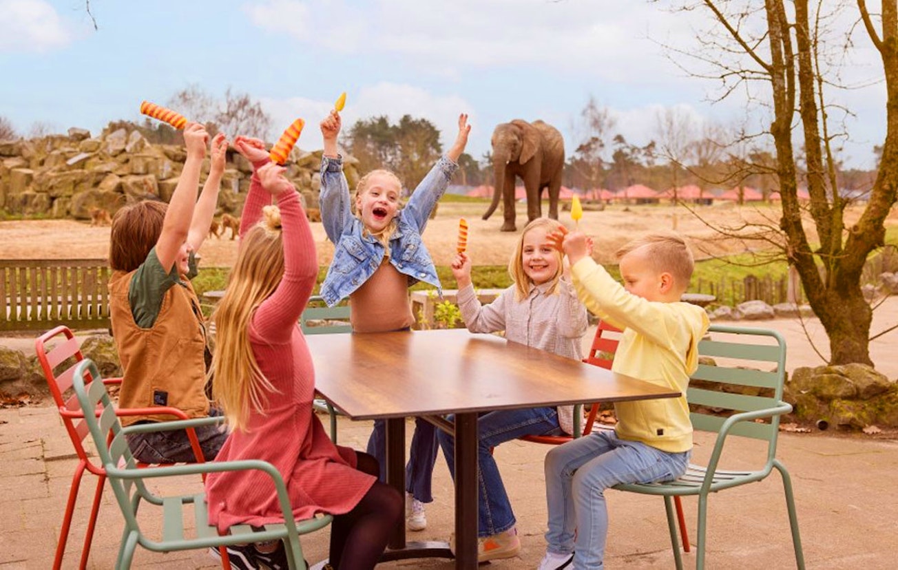 Ticket Safaripark Beekse Bergen (2p.)