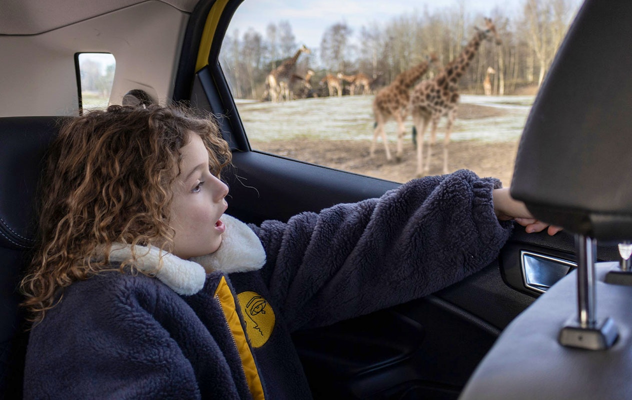 Ticket Safaripark Beekse Bergen pour 2 personnes