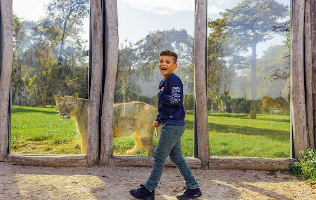 Ticket Safaripark Beekse Bergen (2p.)