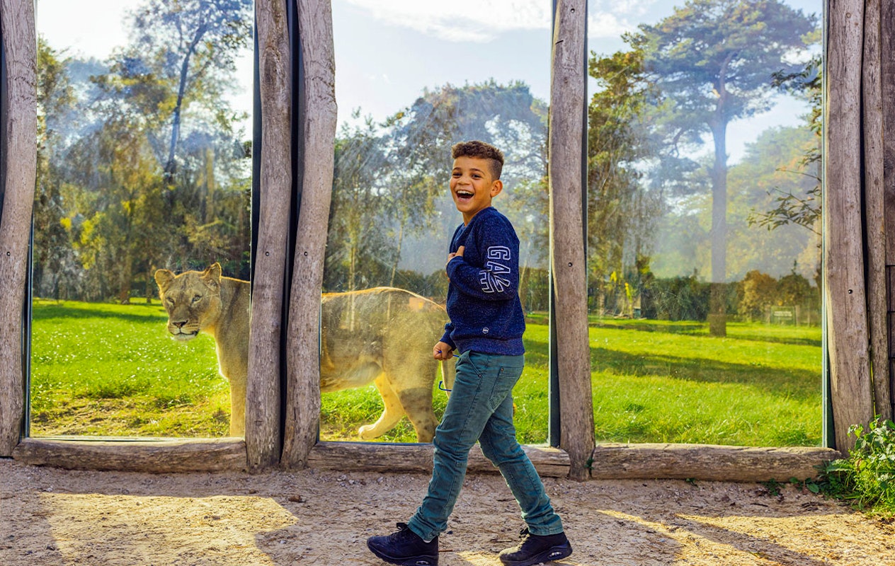 Ticket Safaripark Beekse Bergen pour 2 personnes