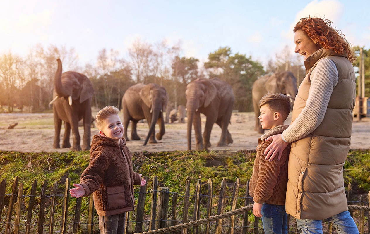 Ticket Safaripark Beekse Bergen pour 2 personnes