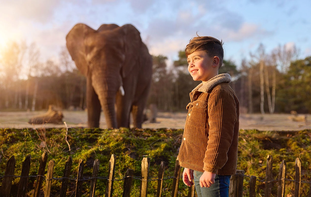 Ticket Safaripark Beekse Bergen pour 2 personnes