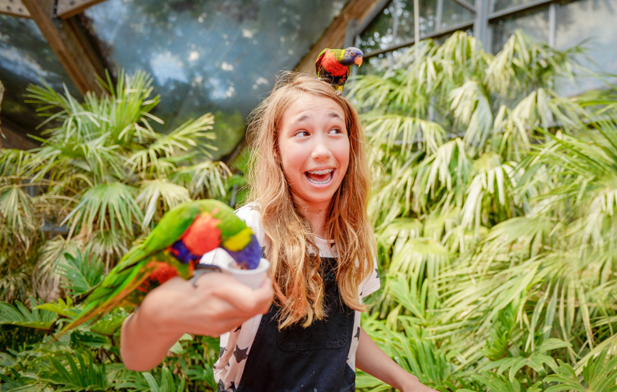 Ticket Vogelpark Avifauna + XXL speeltuin (2p.)