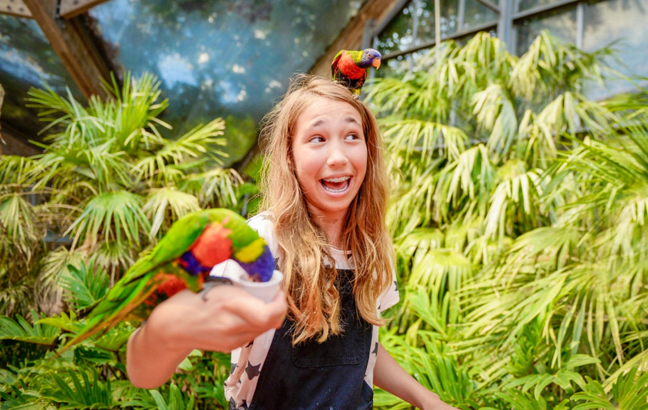 Billet pour le parc ornithologique Avifauna + aire de jeux XXL (2p.)