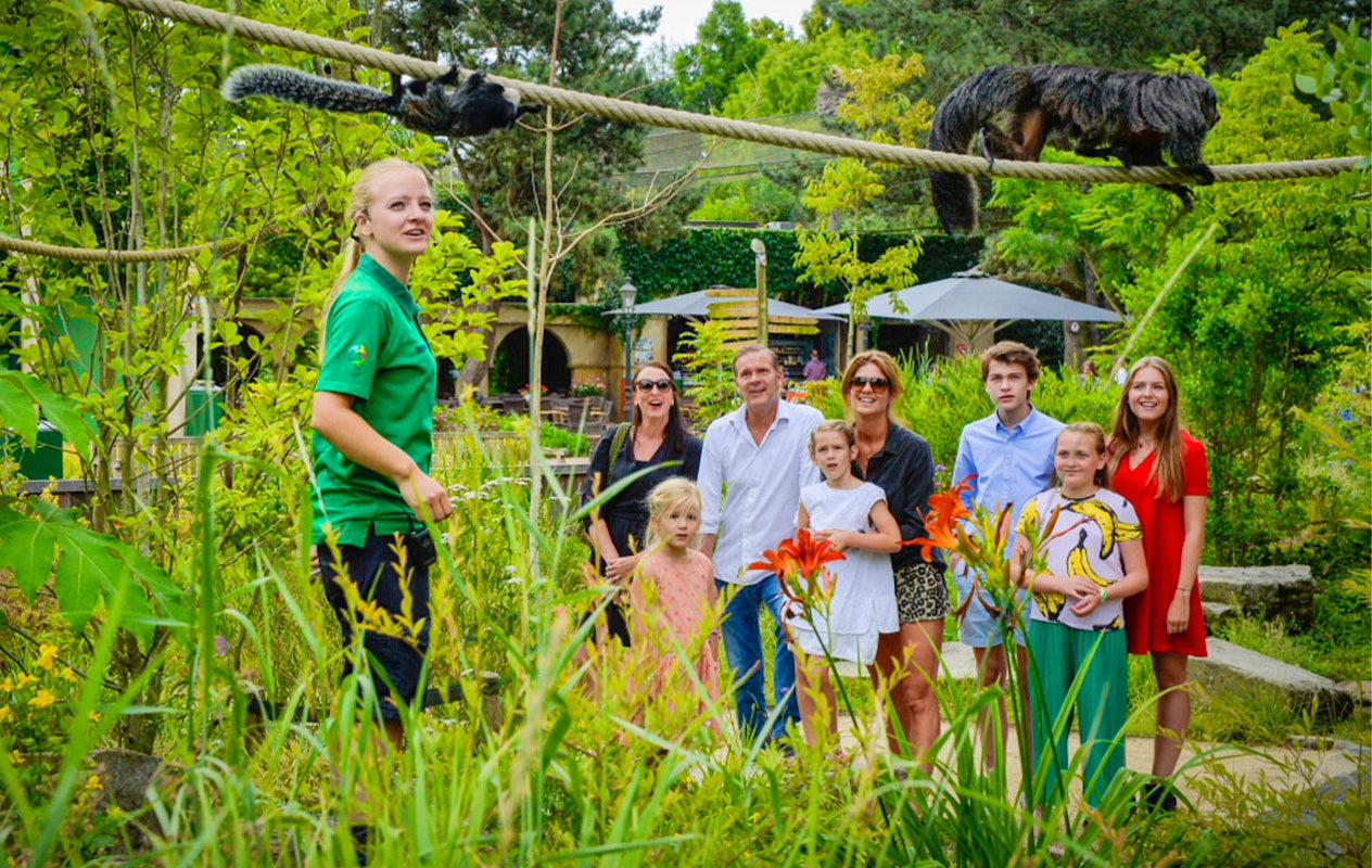 Billet pour le parc ornithologique Avifauna + aire de jeux XXL (2p.)
