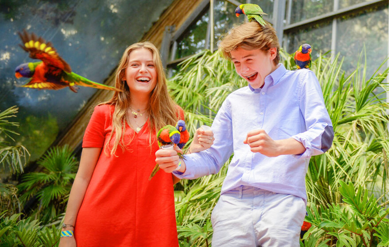 Ticket Vogelpark Avifauna + XXL speeltuin (2p.)