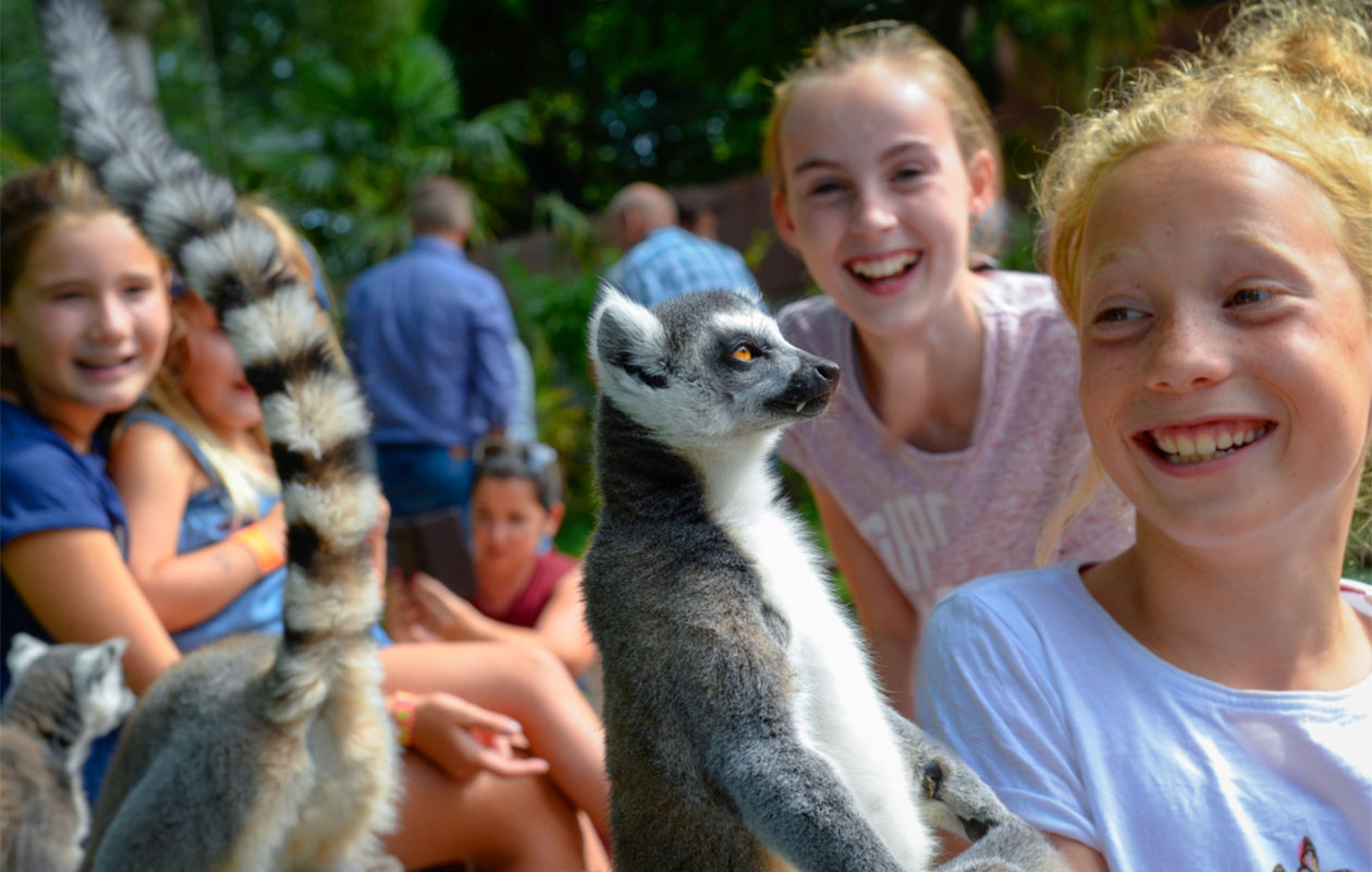 Ticket Vogelpark Avifauna + XXL speeltuin (2p.)
