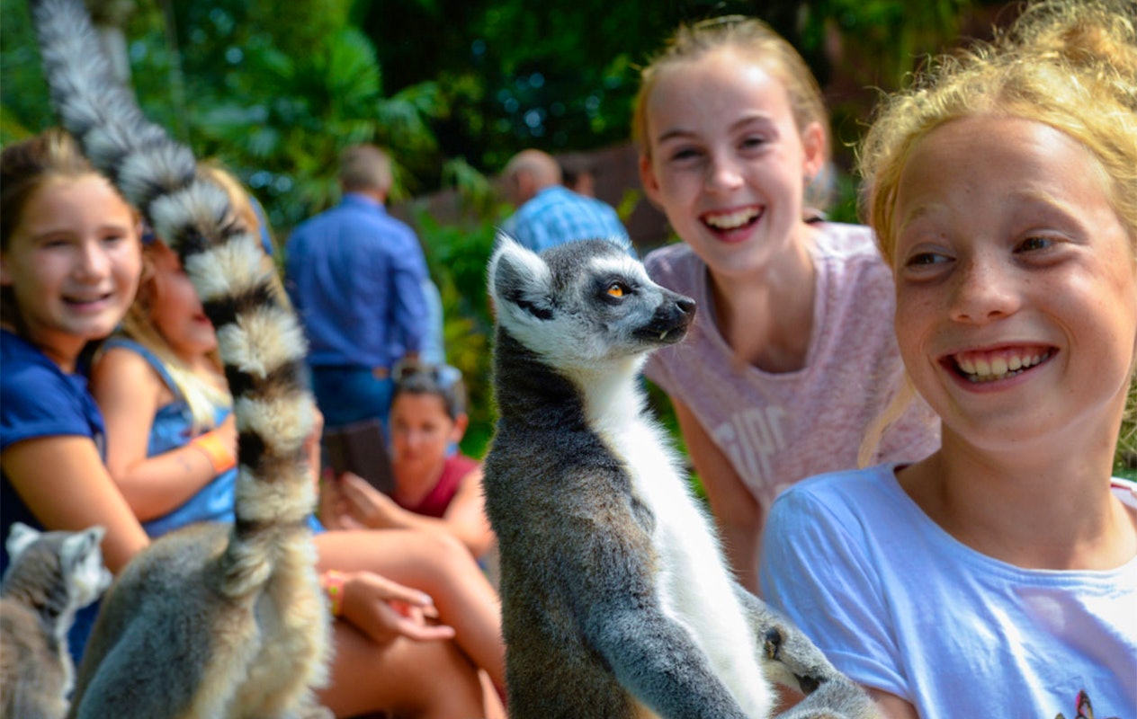 Billet pour le parc ornithologique Avifauna + aire de jeux XXL (2p.)
