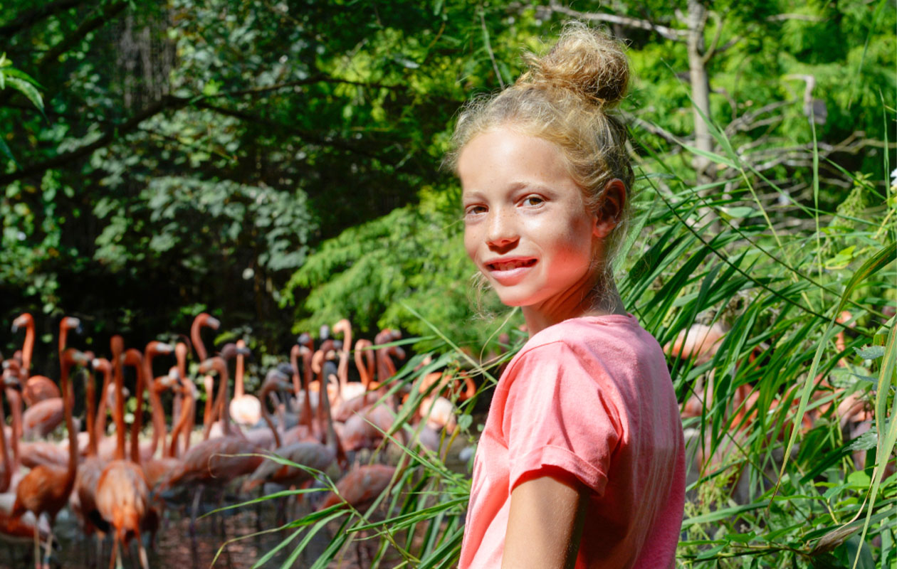 Ticket Vogelpark Avifauna + XXL speeltuin (2p.)