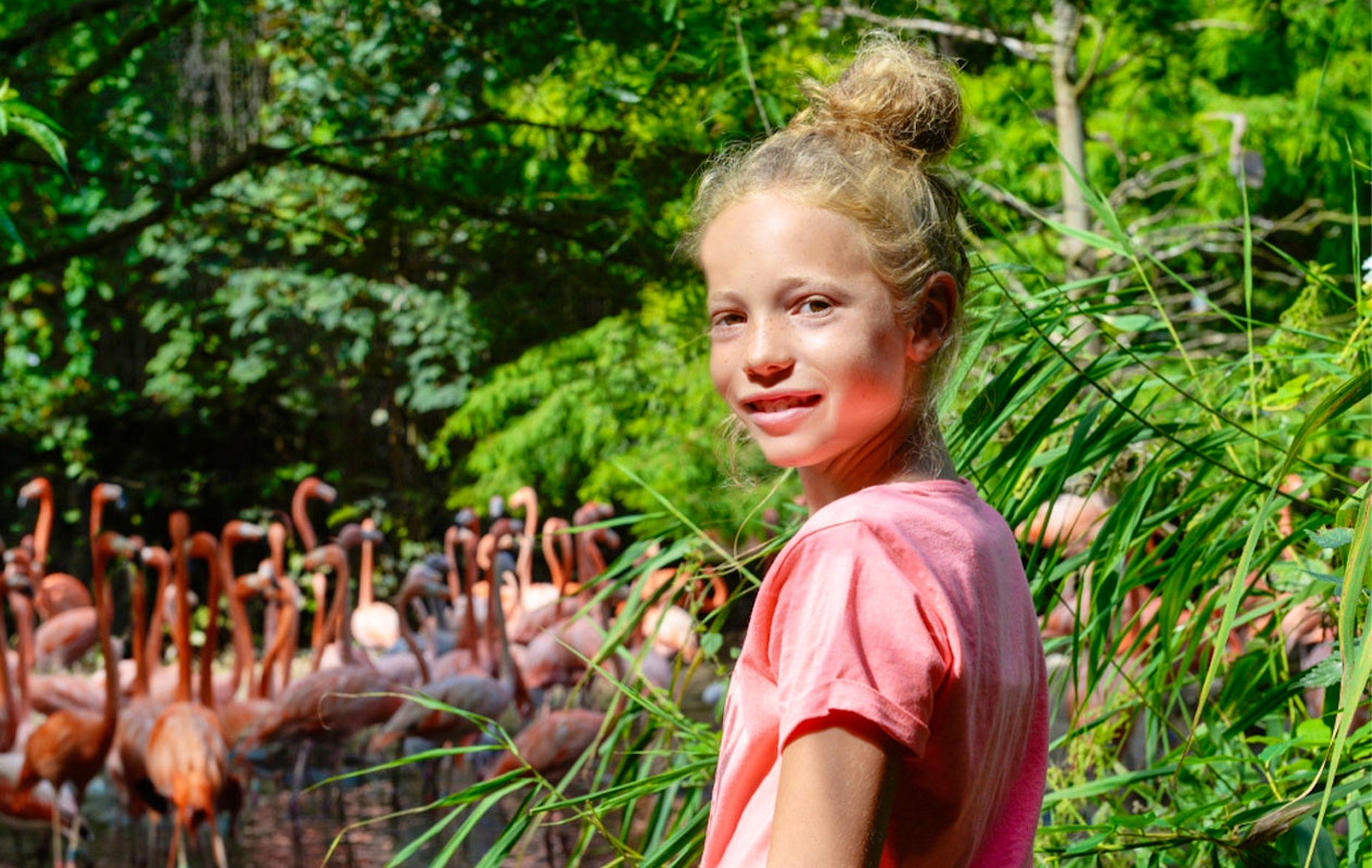 Billet pour le parc ornithologique Avifauna + aire de jeux XXL (2p.)