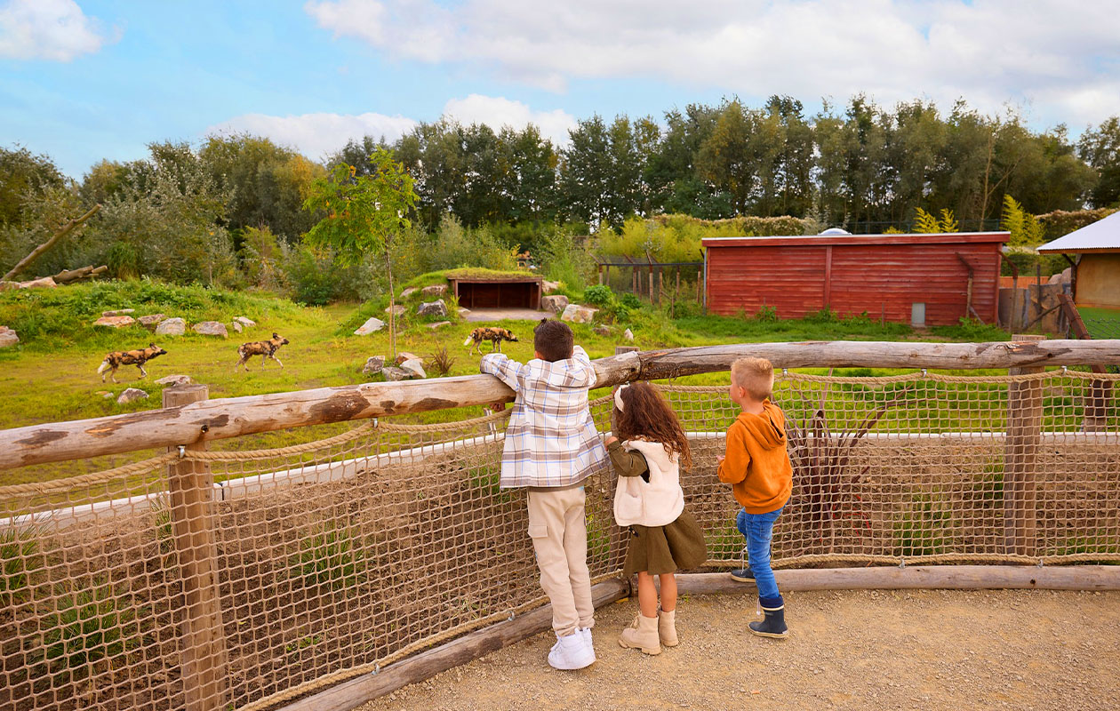 Ticket voor ZooParc Overloon (2p.)