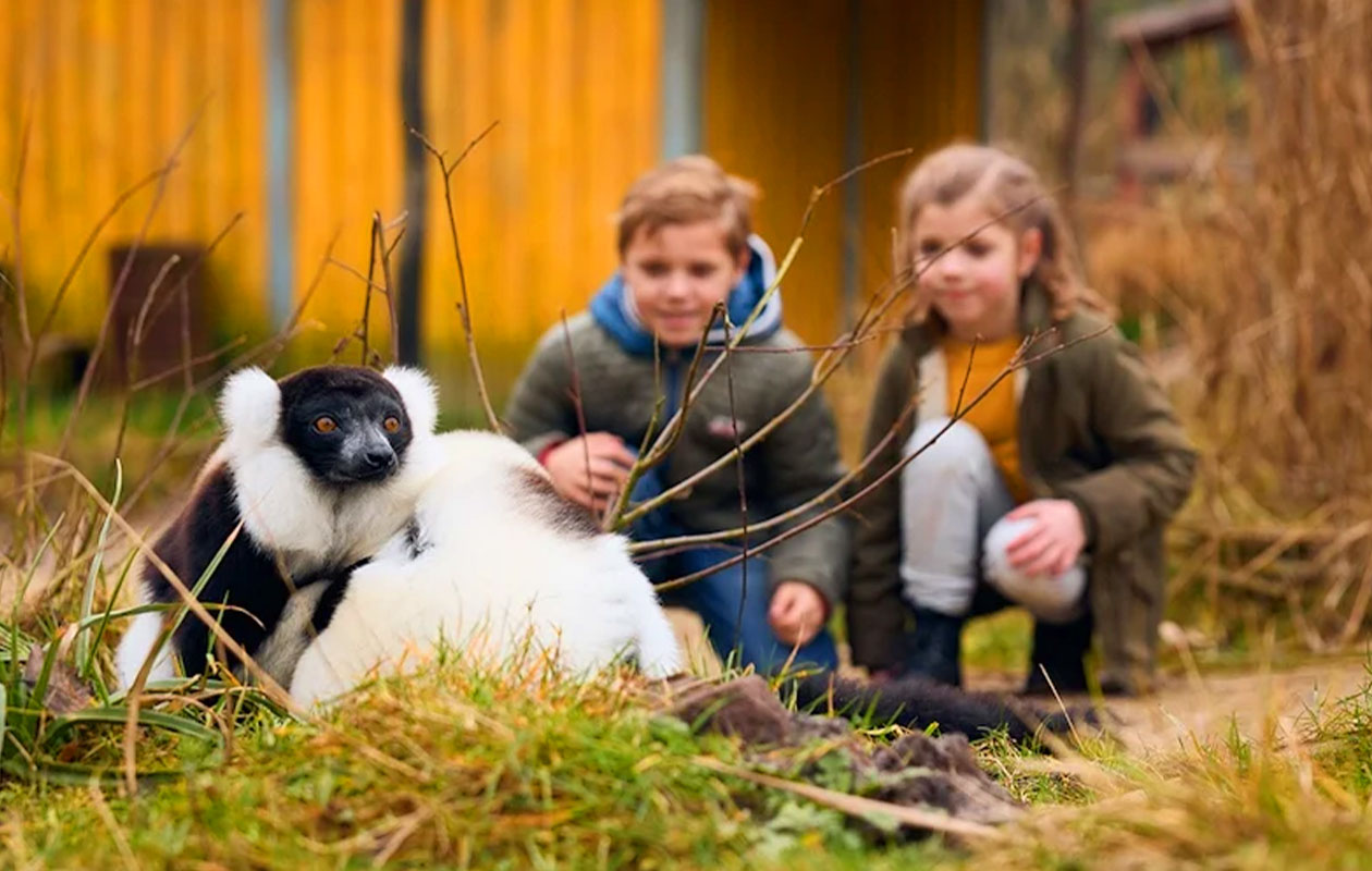 Ticket voor ZooParc Overloon (2p.)