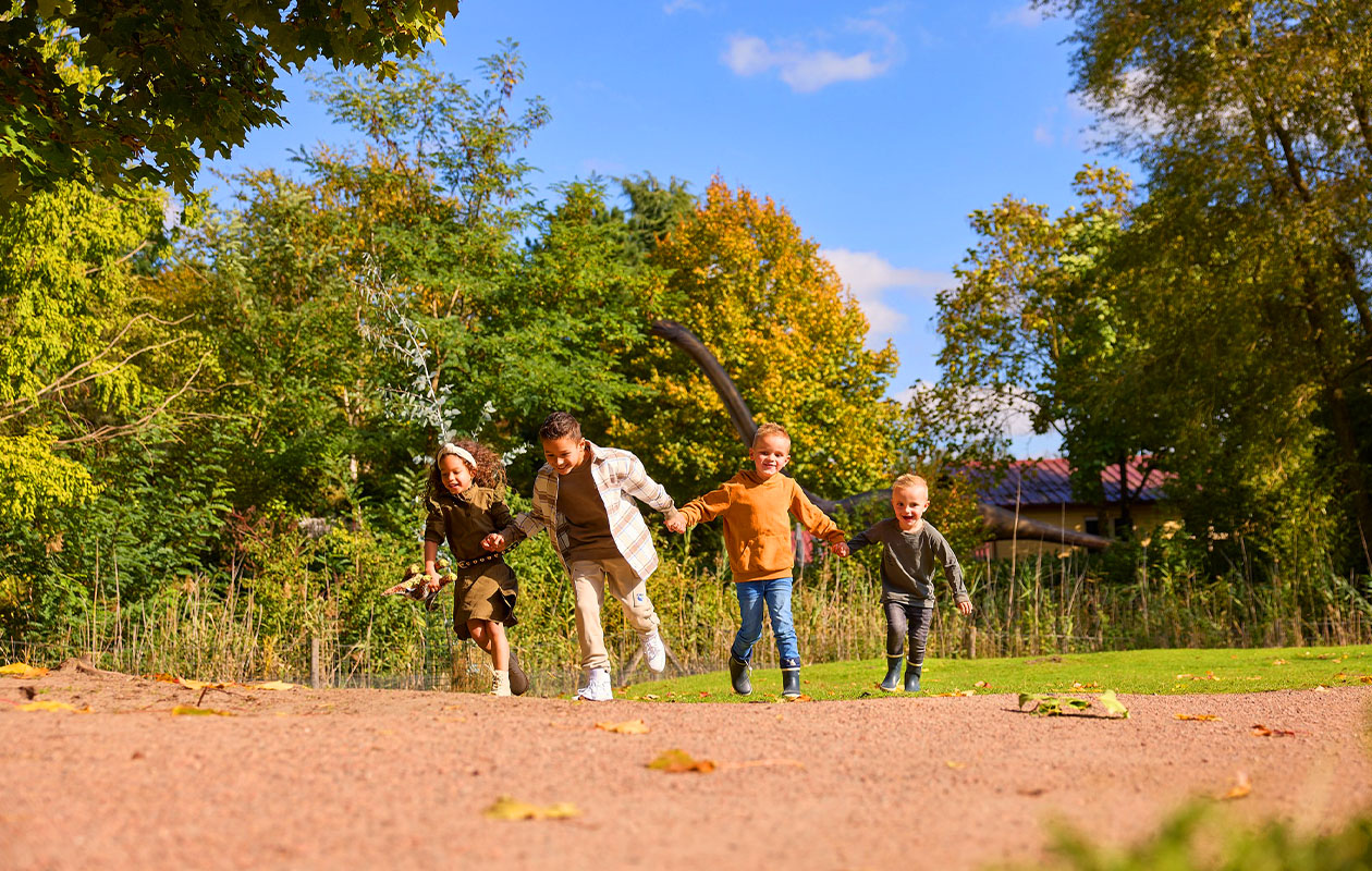 Ticket voor ZooParc Overloon (2p.)