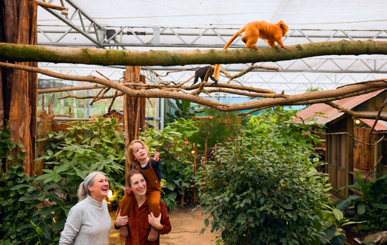 Ticket voor ZooParc Overloon (2p.)