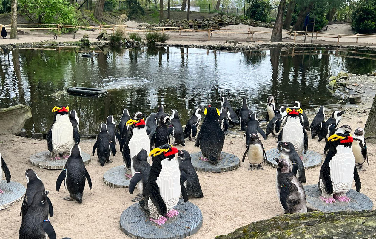 Ticket voor ZooParc Overloon (2p.)