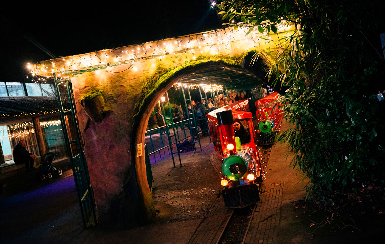 Ticket Warme Winteravonden bij DierenPark Amersfoort (2p.)