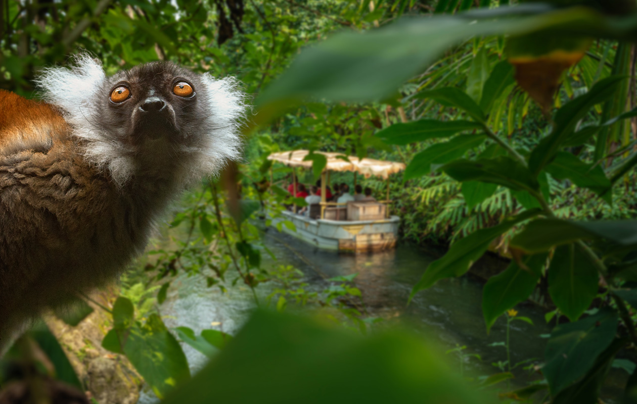 Bied mee op WILDLANDS Adventure Zoo tickets (2 personen)