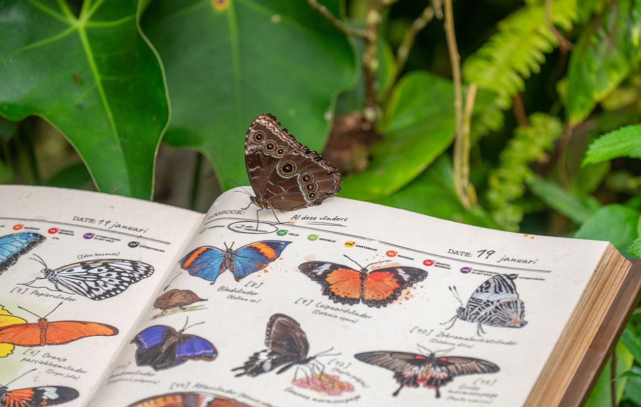 Ticket WILDLANDS Adventure Zoo (2p.)