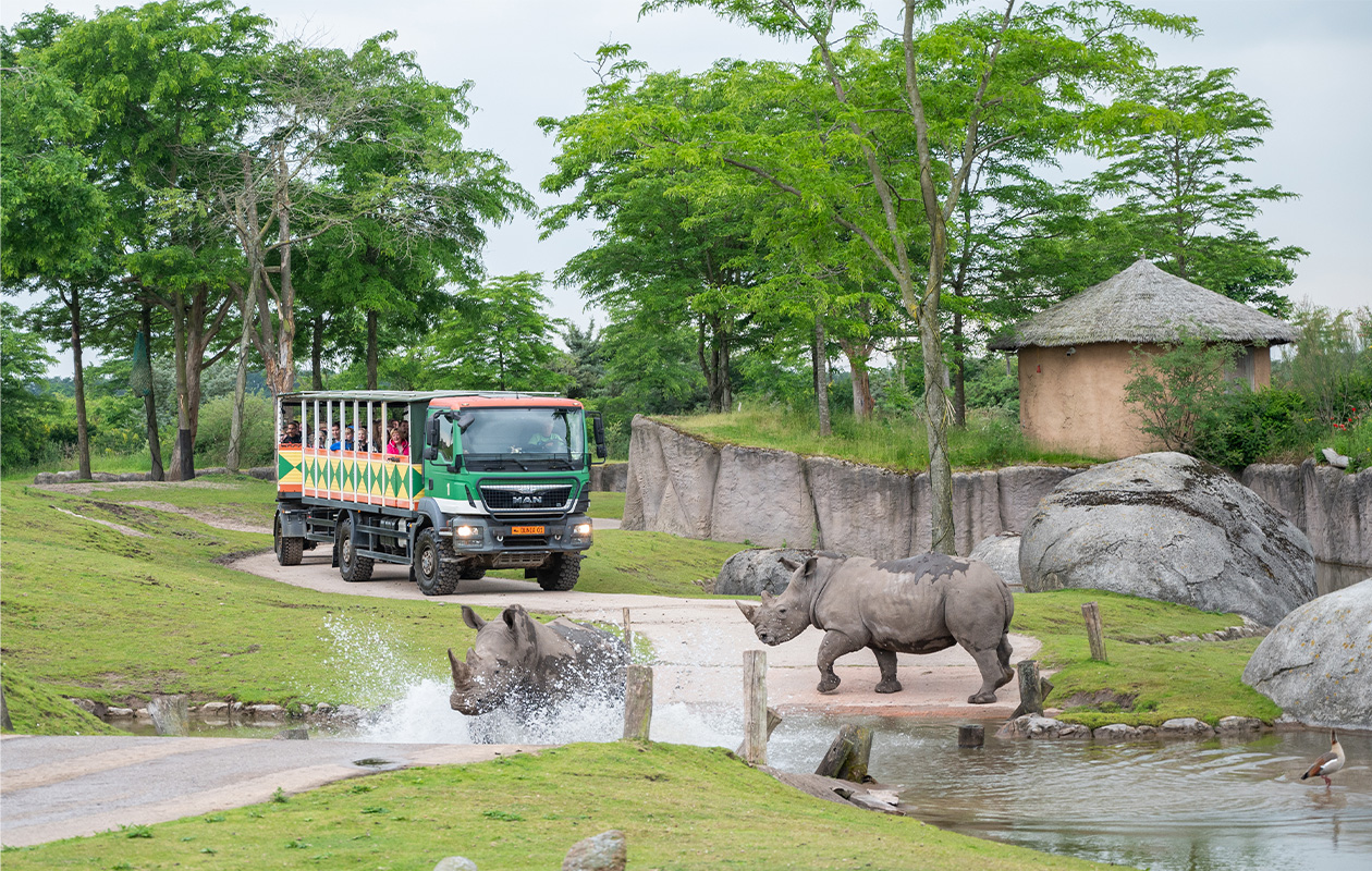Bied mee op WILDLANDS Adventure Zoo tickets (2 personen)