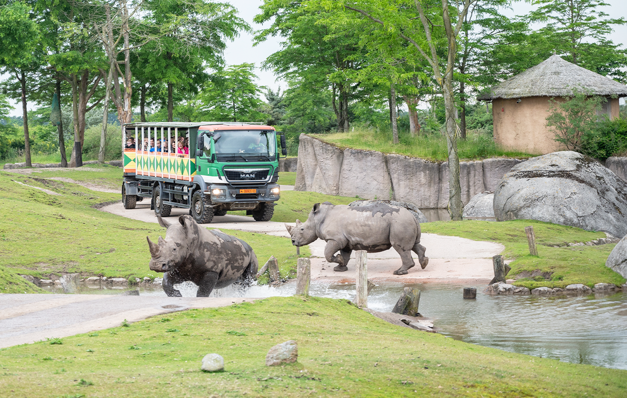 Bied mee op WILDLANDS Adventure Zoo tickets (2 personen)