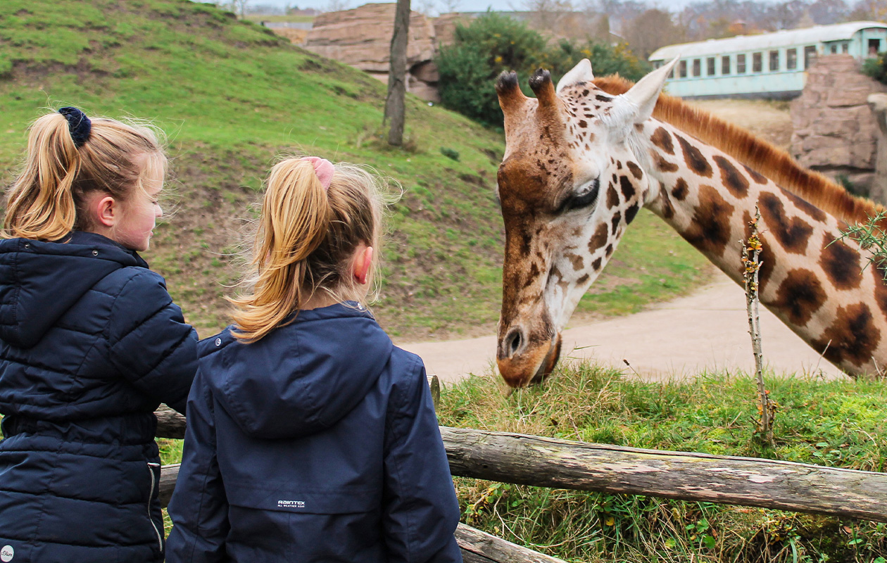 Bied mee op WILDLANDS Adventure Zoo tickets (2 personen)