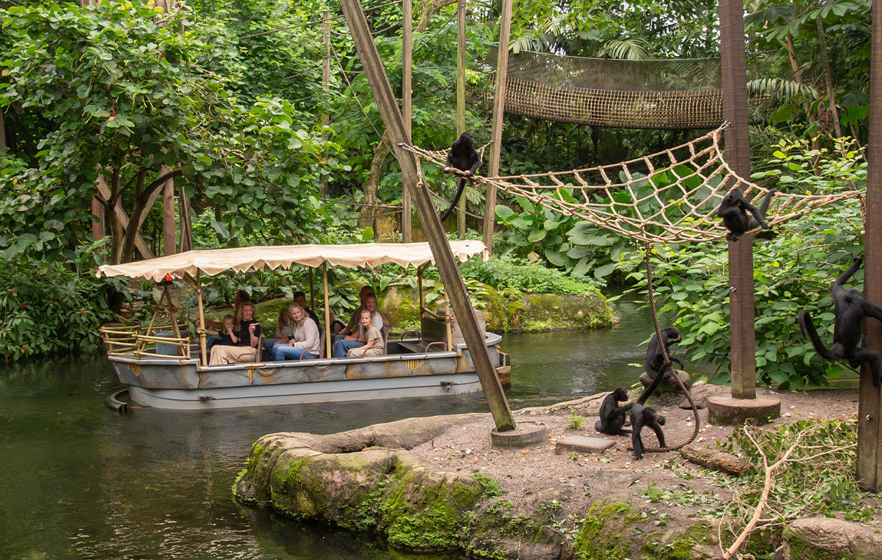 Bied mee op WILDLANDS Adventure Zoo tickets (2 personen)