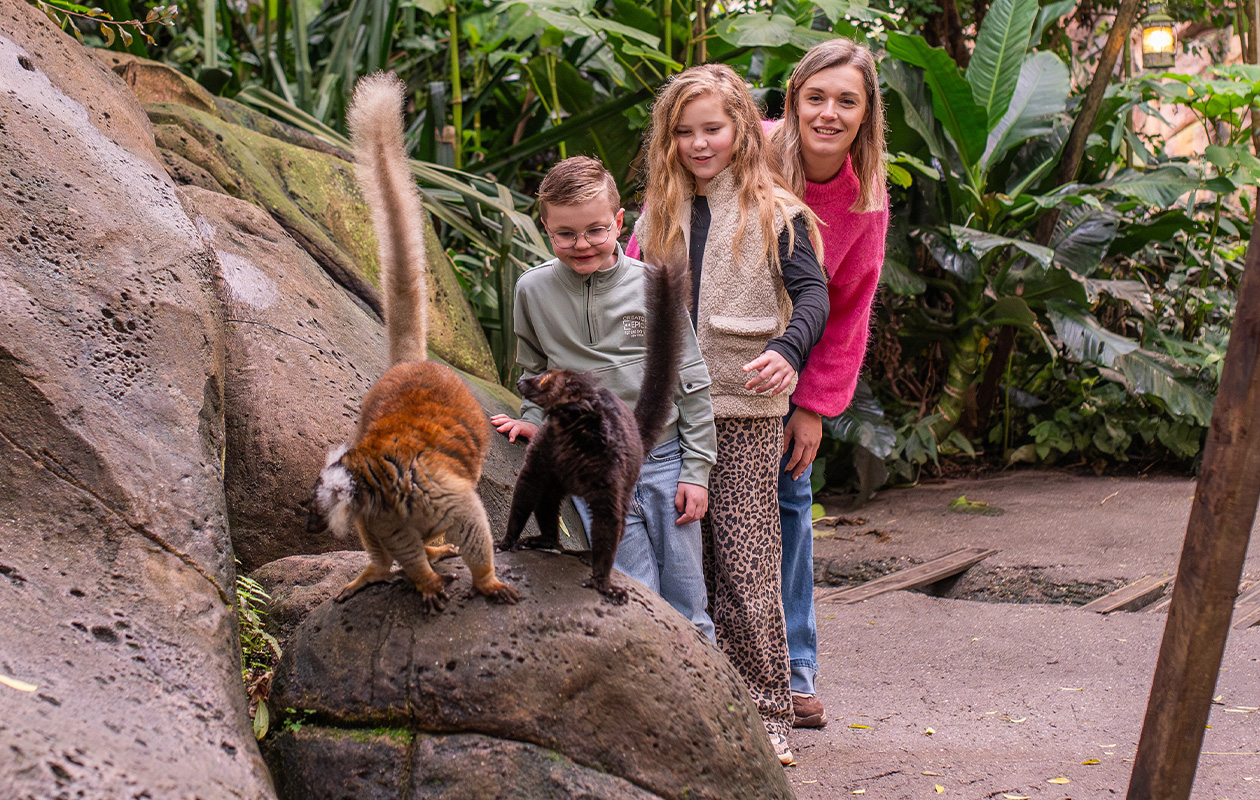 Bied mee op WILDLANDS Adventure Zoo tickets (2 personen)