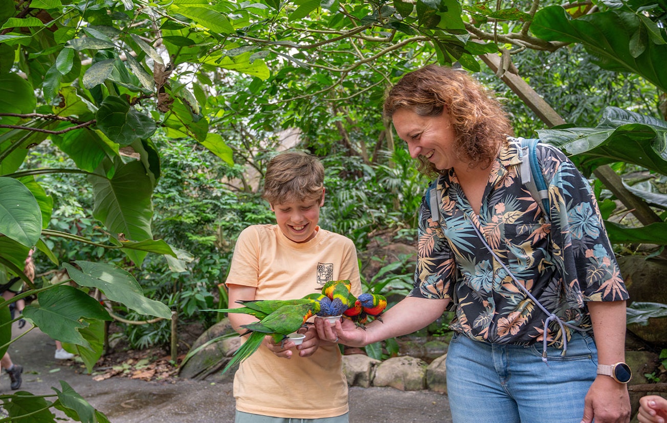 Ticket WILDLANDS Adventure Zoo (2p.)