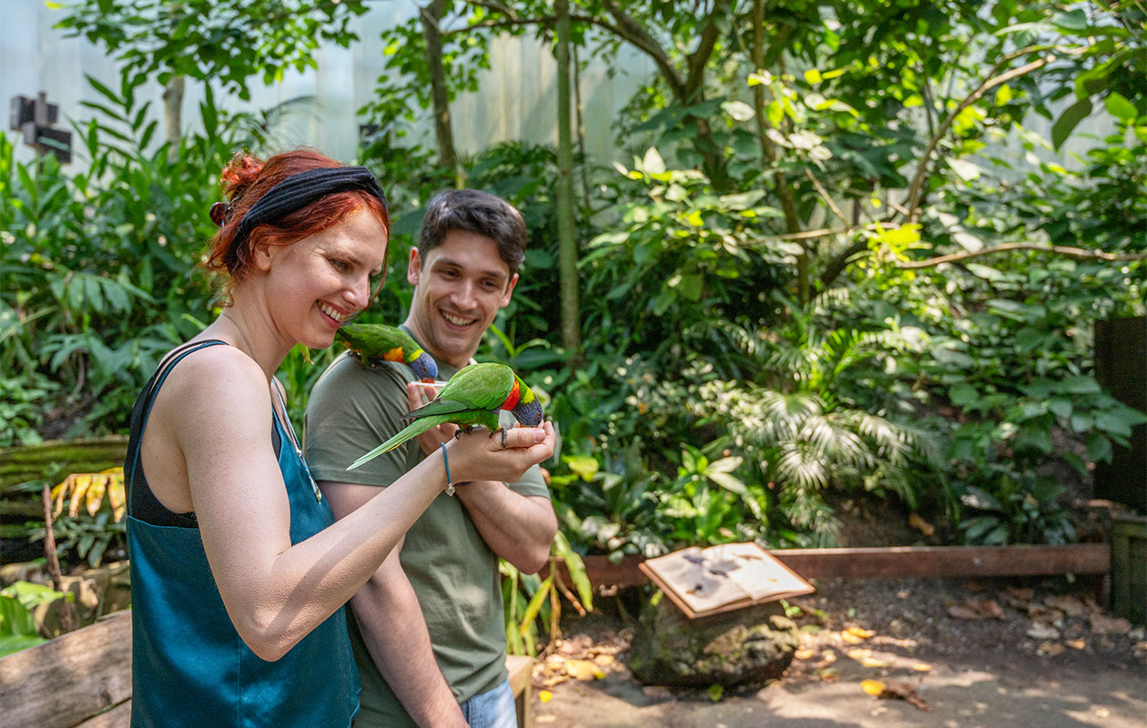 Bied mee op WILDLANDS Adventure Zoo tickets (2 personen)