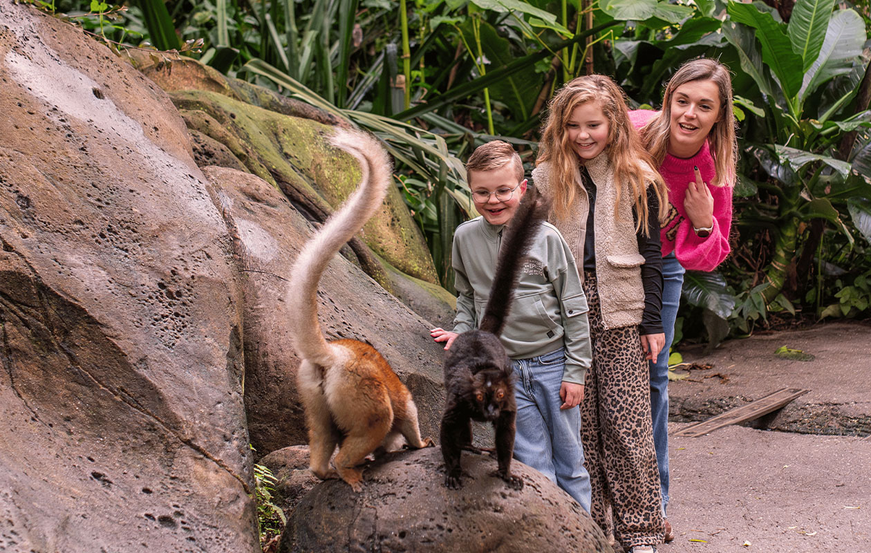 Bied mee op WILDLANDS Adventure Zoo tickets (2 personen)