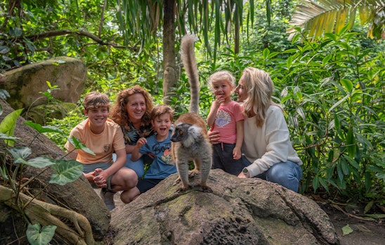 Ticket WILDLANDS Adventure Zoo (2p.)