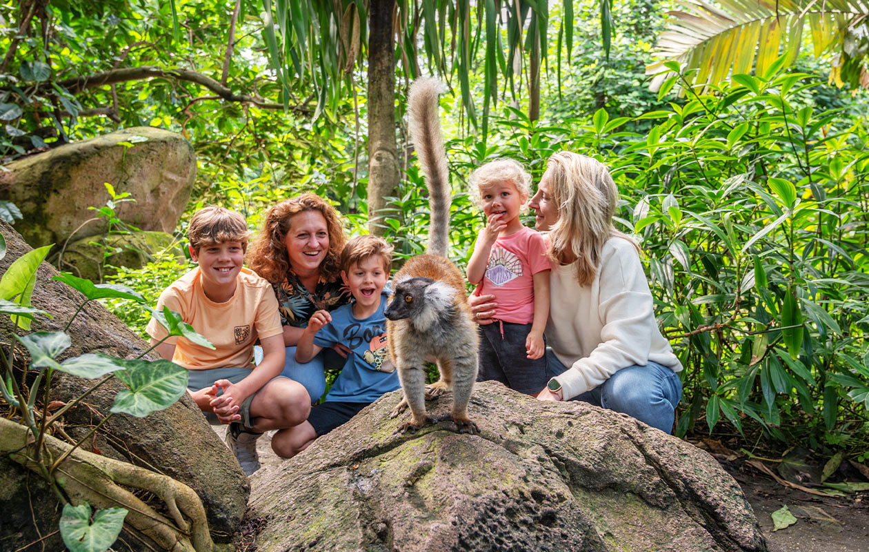 Bied mee op WILDLANDS Adventure Zoo tickets (2 personen)
