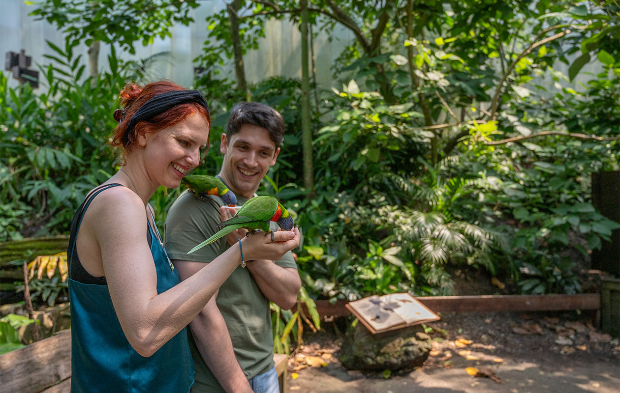 Bied mee op WILDLANDS Adventure Zoo tickets (2 personen)