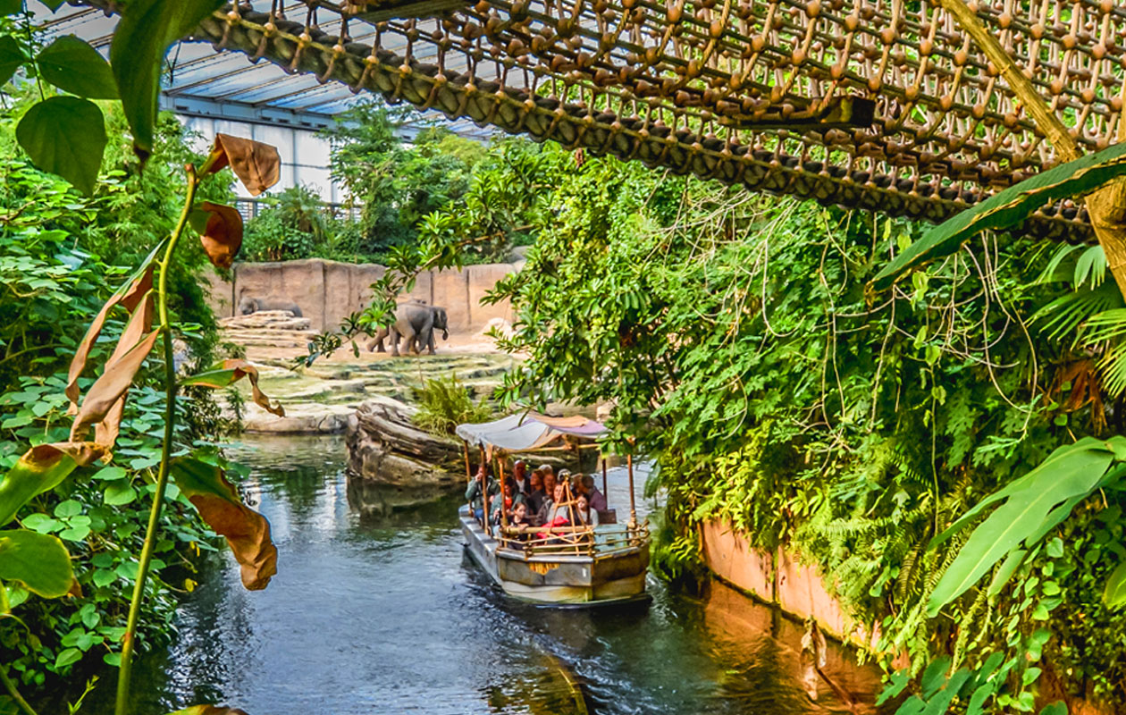 Ticket WILDLANDS Adventure Zoo (2p.)