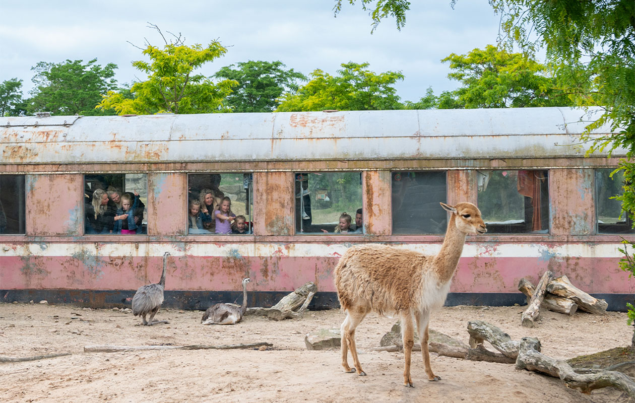 Ticket WILDLANDS Adventure Zoo (2p.)