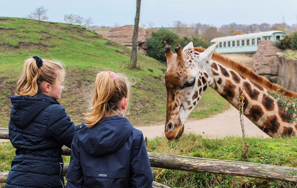 Ticket WILDLANDS Adventure Zoo (2p.)