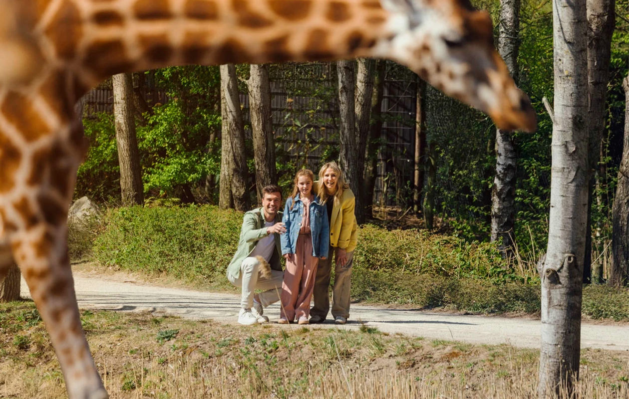 Safaripark Beekse Bergen tickets (2 personen)