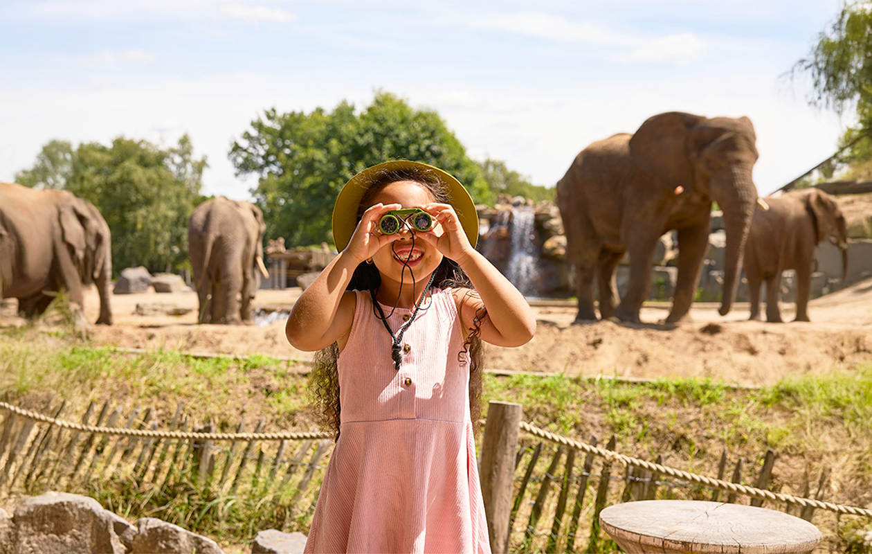 Safaripark Beekse Bergen tickets (2 personen)