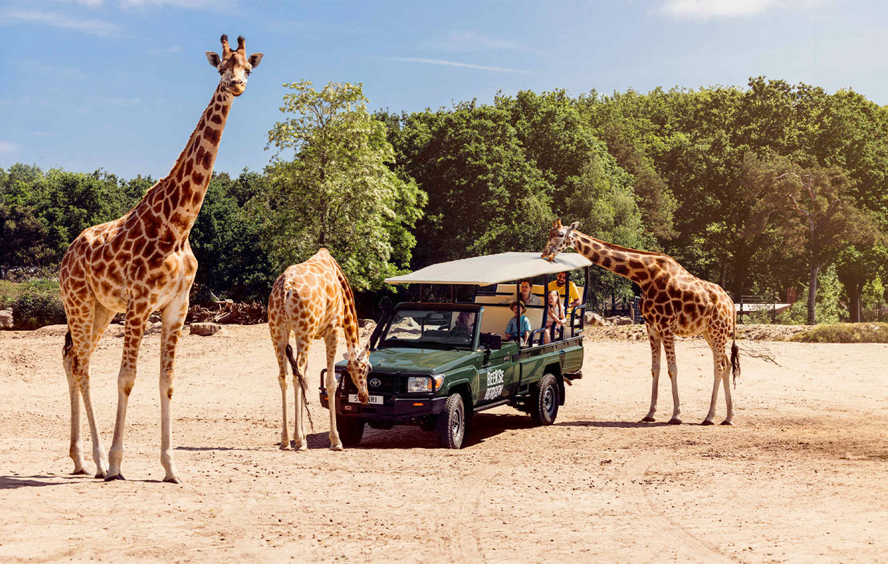 Safaripark Beekse Bergen tickets (2 personen)