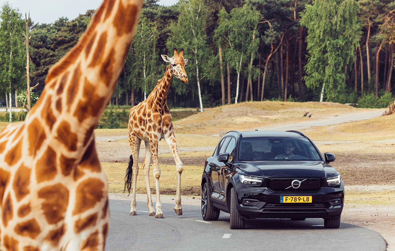 Safaripark Beekse Bergen tickets (2 personen)